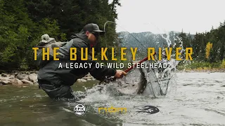 The Bulkley River - A Legacy of Wild Steelhead