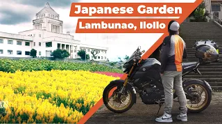 Beautiful Flower Farm in Philippines, Lambunao Iloilo  (Yamato Hillside Flower Farm)