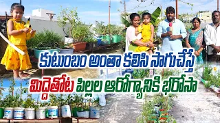 Organic Terrace Garden || Family Steps Towards Children Health || Sai Prasad || Hyderabad