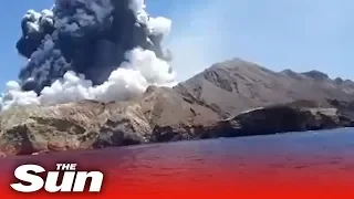 New Zealand volcano – Tourists dead after huge White Island eruption