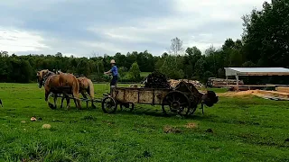 A visit in amish county