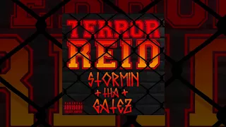 Terror Reid - Stormin Tha Gatez