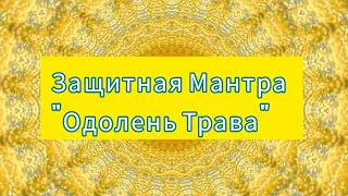 Защитная Мантра "Одолень Трава"🍀