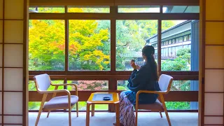 $204 Japan's Famous Hot Spring Town ♨️ Tattoo Friendly Kinosaki Onsen/ Autumn Leaves