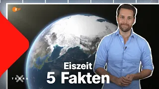 Eiszeit in Europa – 5 spannende Fakten | Terra X