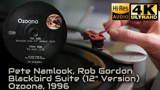 Pete Namlook, Rob Gordon - Blackbird Suite (12" Version) Ozoona, 1996, Vinyl video 4K, 24bit/96kHz