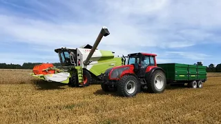 Wheat harvest first day - 30th July 2023