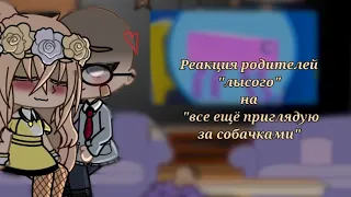 Реакция родителей "лысого" на "все ещё приглядую за собачками"