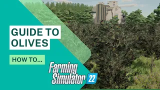 FS22 | Guide to Olives | Farming Simulator 22 | PS5