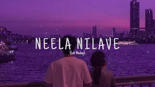 neela nilave lofi(slowed+reverb)malayalam song#latest #rdx