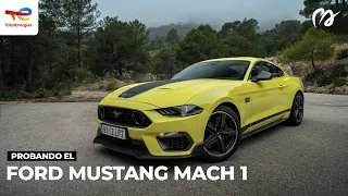 Ford Mustang Mach 1: Tren delantero europeo con V8 americano encima [PRUEBA - #POWERART] S08-E22