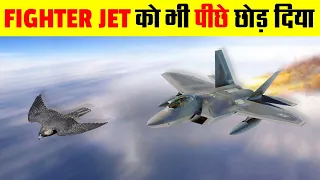 दुनिया के 10 सबसे तेज उड़ने वाले पक्षी । Top 10 Fastest Birds In The World