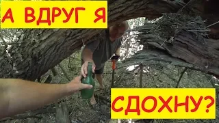 ЗАГОВОРЕННОЕ ПОЛЕ / ПРОГУЛКА ПО ЛЕСУ / И ДРУГИЕ ПРИКЛЮЧЕНИЯ АНТОНОВ 2 / СЕМЬЯ В ДЕРЕВНЕ