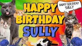 Happy Birthday Sully! Crazy Cats Say Happy Birthday Sully (Very Funny)