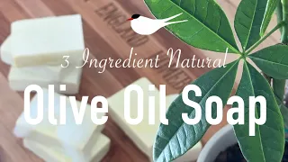 100% Olive Oil Soap •Only 3 Ingredients• Homemade In New England