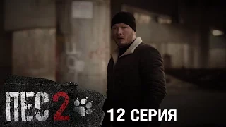 Сериал Пес - 2 сезон - 12 серия