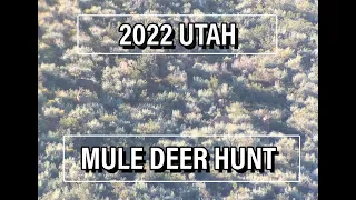 2022 Utah Mule Deer Hunt