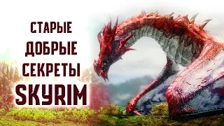 Skyrim - СТАРЫЕ ДОБРЫЕ СЕКРЕТЫ ПАСХАЛКИ СКАЙРИМА! ( Секреты #216 )