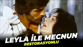 Leyla ile Mecnun | Fatma Girik Kadir İnanır Eski Türk Filmi Tek Parça (Restorasyonlu)