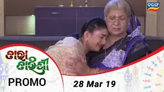 Tara Tarini | 28 Mar 19| Promo | Odia Serial – TarangTV