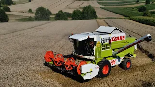 Żniwa 2022 w GR Suchan ! 🔥 Claas Mega 204 🤩 Pszenica