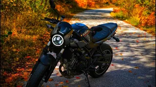 Suzuki sv650x: Autumn vibes 4k 60 fps