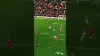 Juergen Klopp celebration on Origi goal😂😂🙌