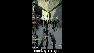 csgo x monkey #shorts