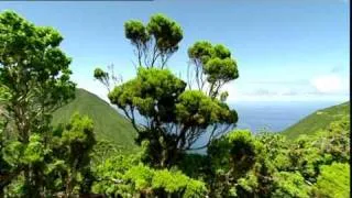 Calheta - Natureza Mágica