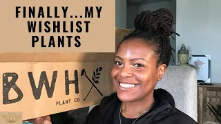 Wishlist Plant Unboxing | Bros With Hoes Plant Co.