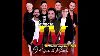 Musical JM vol22 (não oficial) Musicas soltas de 2015 a 2024 que não tem em CDs oficiais