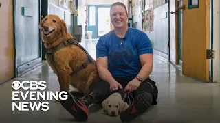 Life-saving service dog inspires a veteran to give back