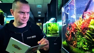 QUALITY CONTROL IN AQUASCAPING - BEAUTIFUL AQUASCAPES AT GREEN AQUA