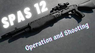 How a Spas 12 works. Animation of Operation of Spas 12