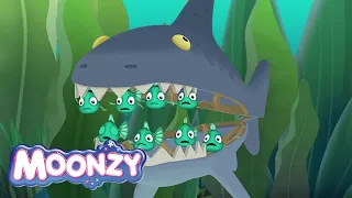 Moonzy | An Unexpected Guest | Episode 25 | Cartoons for kids