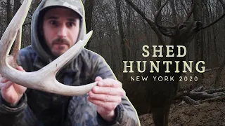 Shed Hunting - Tips and Tricks - New York Public Land