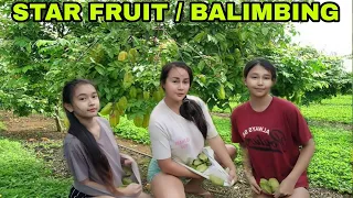 star fruit/balimbing/fruit/plant/rural life/probinsyana life/bonding/eating/picking/farming/tree