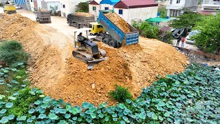 Epic8! Pour soil Delete The Lake around the house by 5Ton Truck Drop Soil & Small Dozer Push