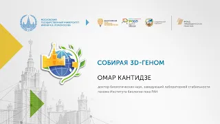 Собирая 3D-геном