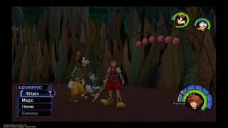 KINGDOM HEARTS - HD 1.5+2.5 How to find lady Luck