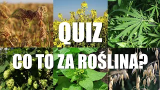 Quiz: Rośliny Uprawne w Polsce