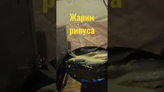 Жарим рипуса на рыбалке