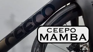 🇯🇵 Ceepo Mamba 2021 Campagnolo Chorus Disc Fulcrum #bikebuild #ceepo #ceepomamba