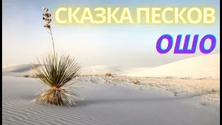 №1. СКАЗКА ПЕСКОВ. Ошо. Мудрость песков. Беседы о Суфизме. САМОРАЗВИТИЕ