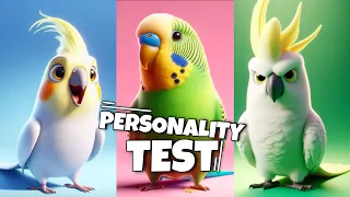 What Bird Should you Get? (BASED ON YOUR PERSONALITY) Budgie, Cockatiel, African Grey OR Cockatoo?
