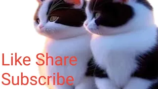 Cute and Funny Cat Compilation #7 | Dhanraj Walde
