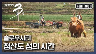 [다큐3일★풀버전] 아시아 최초 슬로우시티 네 군데 중 하나! 자연의 시간으로 흘러가는 곳, 청산도 | “느림의 섬 청산도 72시간” (KBS 090509 방송)