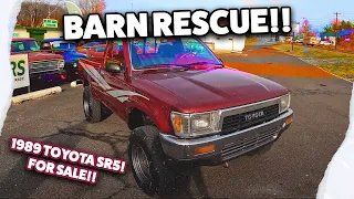 Rescuing a 1989 Toyota Pickup SR5 from a Forgotten Farm! | Classic Car Buyer POV Episode 2