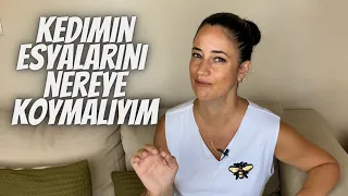 Kedimin mama/su kabı, tuvaleti ve eşyalarını nereye koymalıyım? Yeni kedi sahipleneceklere rehber