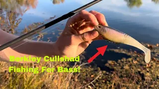 Record Day of Bass Fishing w/ New Swimbait! (Berkley Cullshad)